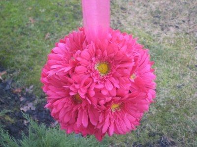 Daisy pomander balls... has anyone done them?