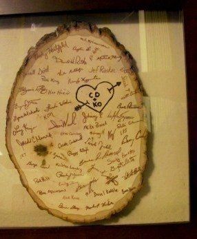 Fun Guestbook ideas, which would you recommend for a Park Wedding?