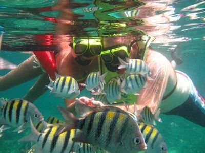 Jamaica or St. Lucia