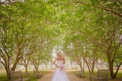Birdcage Veil Opinions please.