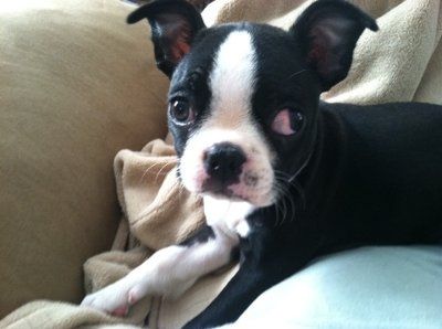 *NWR* Show me your pets/animals! *PICS*