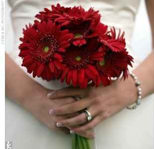 Can someone show me bouquets/arrangemets for ceremony with gerber dasies.....