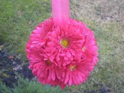 Daisy pomander balls... has anyone done them?