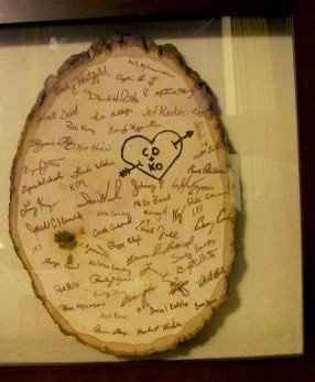 Fun Guestbook ideas, which would you recommend for a Park Wedding?