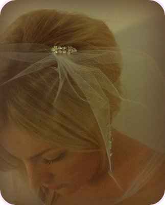 Bird cage veil.. Help!