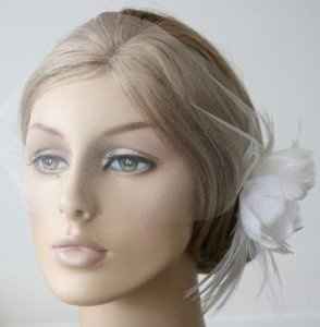Bird cage veil.. Help!