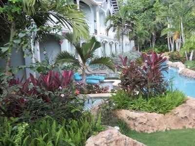 Jamaica or St. Lucia