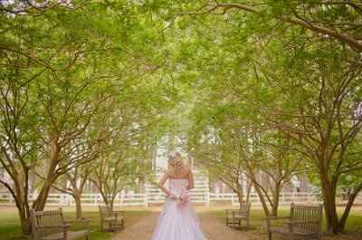 Birdcage Veil Opinions please.