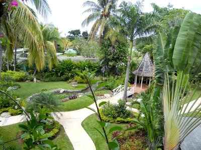 Where are you going for your Honeymoon?