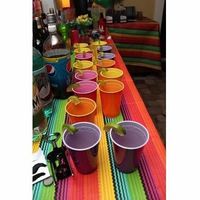 Our Fiesta Engagement Party (Pic Heavy)