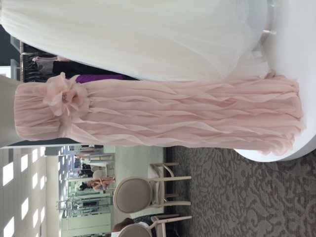 Bridesmaids Ordered Their Dresses Which Color Tux Goes Best??? (PIC)