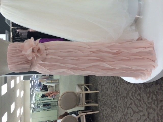 Bridesmaids Ordered Their Dresses Which Color Tux Goes Best??? (PIC)