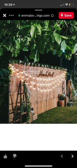 diy photo back drop 1