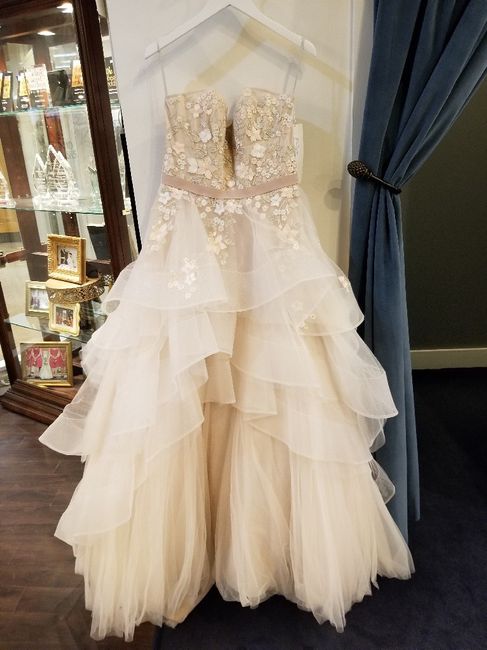 Show me pics of your non-white or ivory wedding dresses - 1