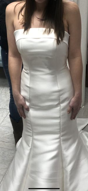 Please help me with my dress alterations! 2