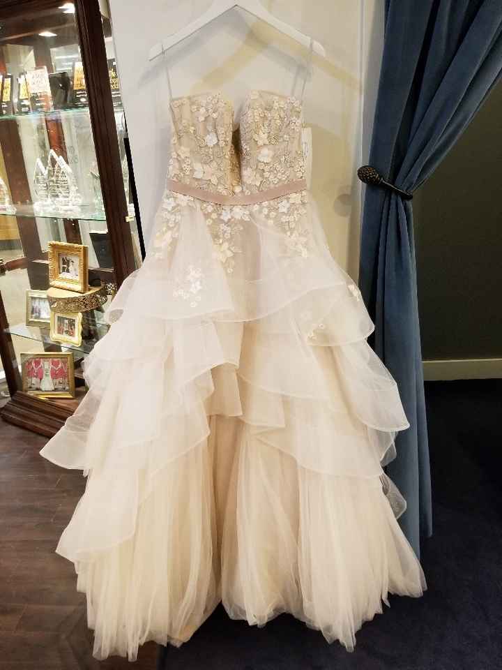 Show me pics of your non-white or ivory wedding dresses - 1