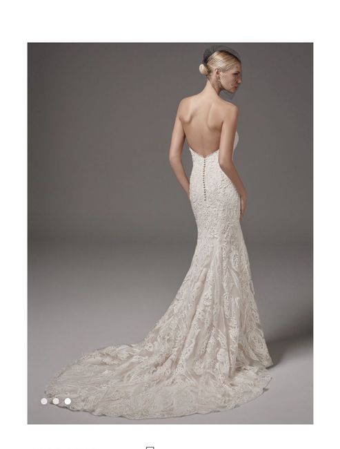 Sottero and Midgley Hadley brides- undergarments? - 1