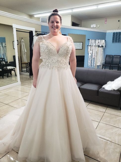 Any Plus Size Brides Out There? 10