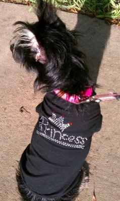 NWR: I want to see your pets!