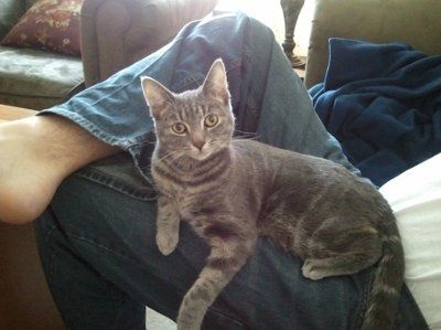 NWR: Furry Friends