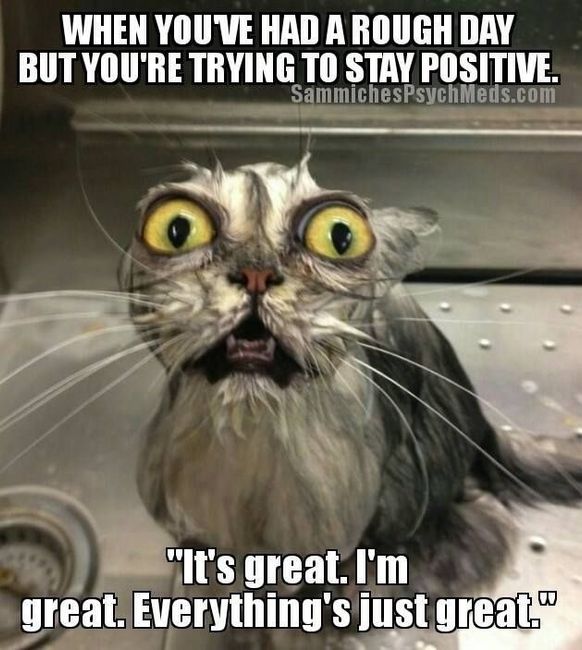 NWR: Worst. Day. Ever. Upate