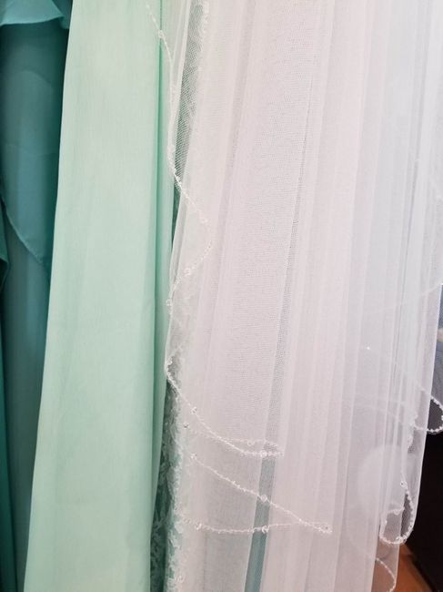 Ivory Lace With Champagne Underlay - Having Issues Finding Veil (picture Heavy) 7