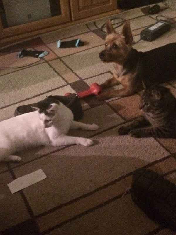 What are you looking forward too?