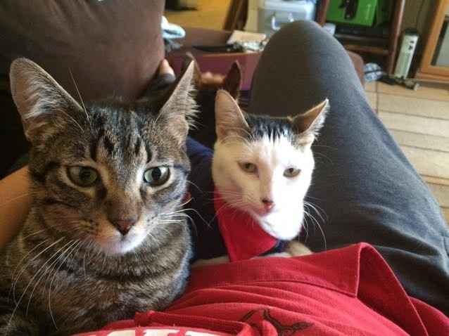 1st time moving in together fears.