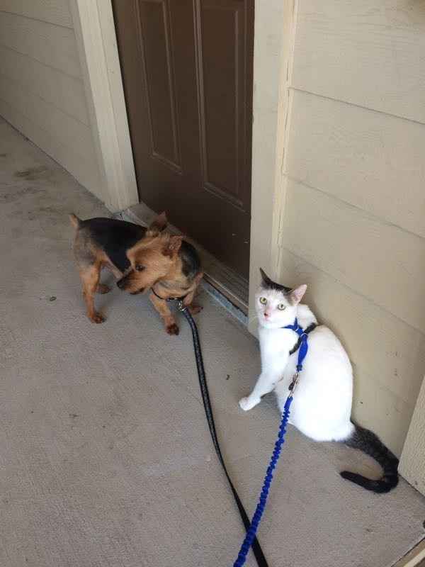 NWR Fursday Thursday!