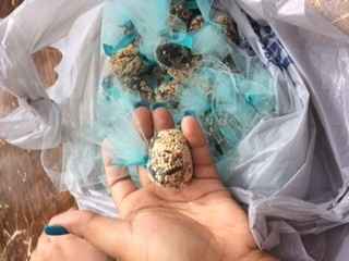 Wish Me Luck: FMIL Rant