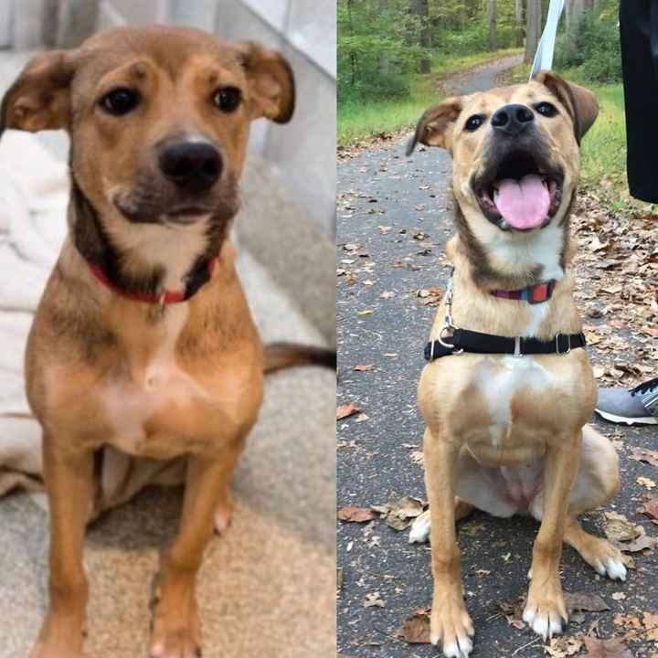 NWR: Show me your pups!