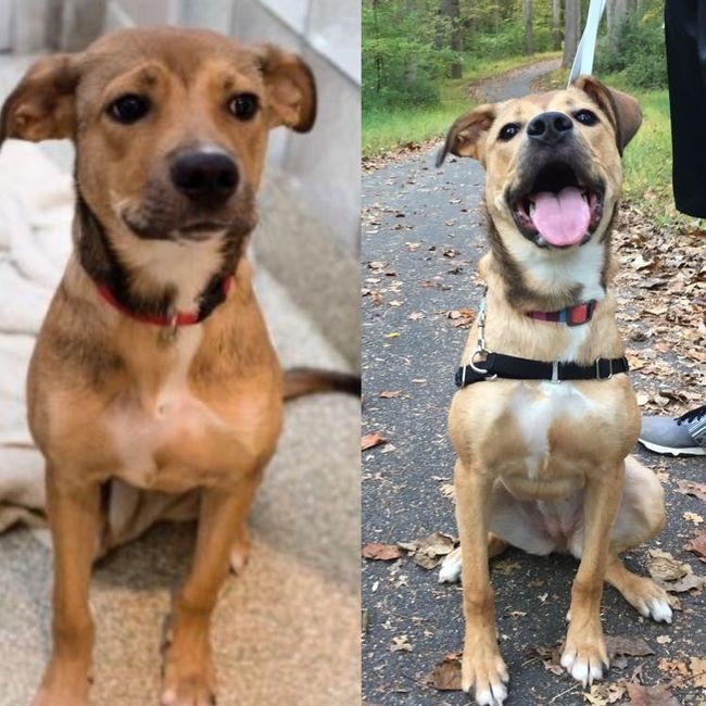 NWR: Show me your pups!