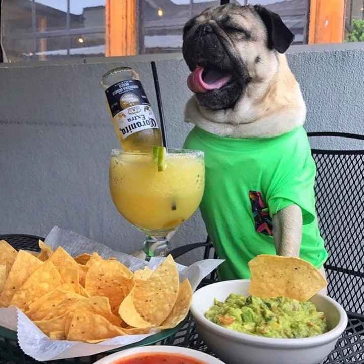 Need some positivity: Sick for the Wedding?