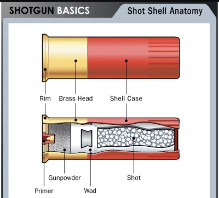 Shotgun Bouts just arrived!!!
