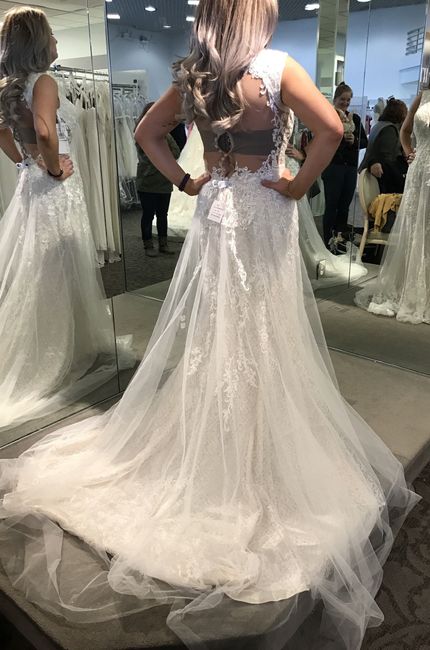 I said yes to my dress! 168 days left!