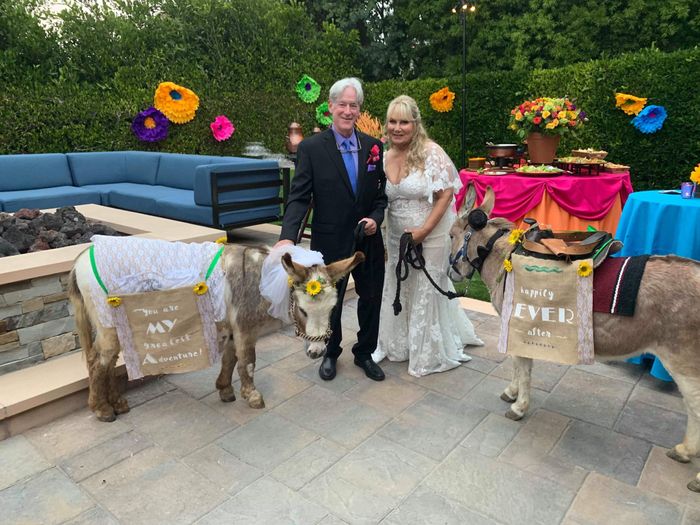 Would you hire a beer burro? 4