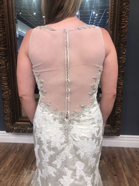 What Dresses Did You Try, And Not End Up Buying?? 29