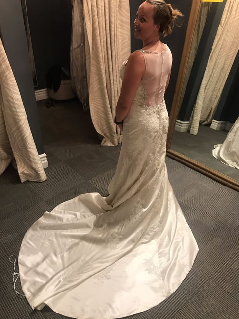 What Dresses Did You Try, And Not End Up Buying?? 30