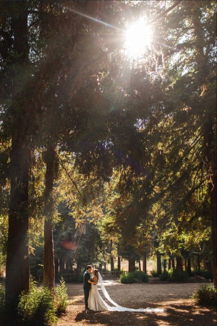 Bam: Plan E, Part 1: a Novel 2