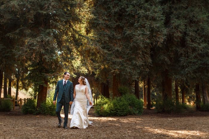 The day you said yes and wedding day - 2