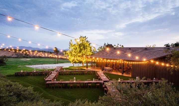 Outdoor Reception