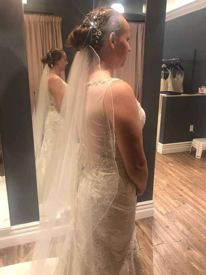 To Veil or Not to Veil - 3