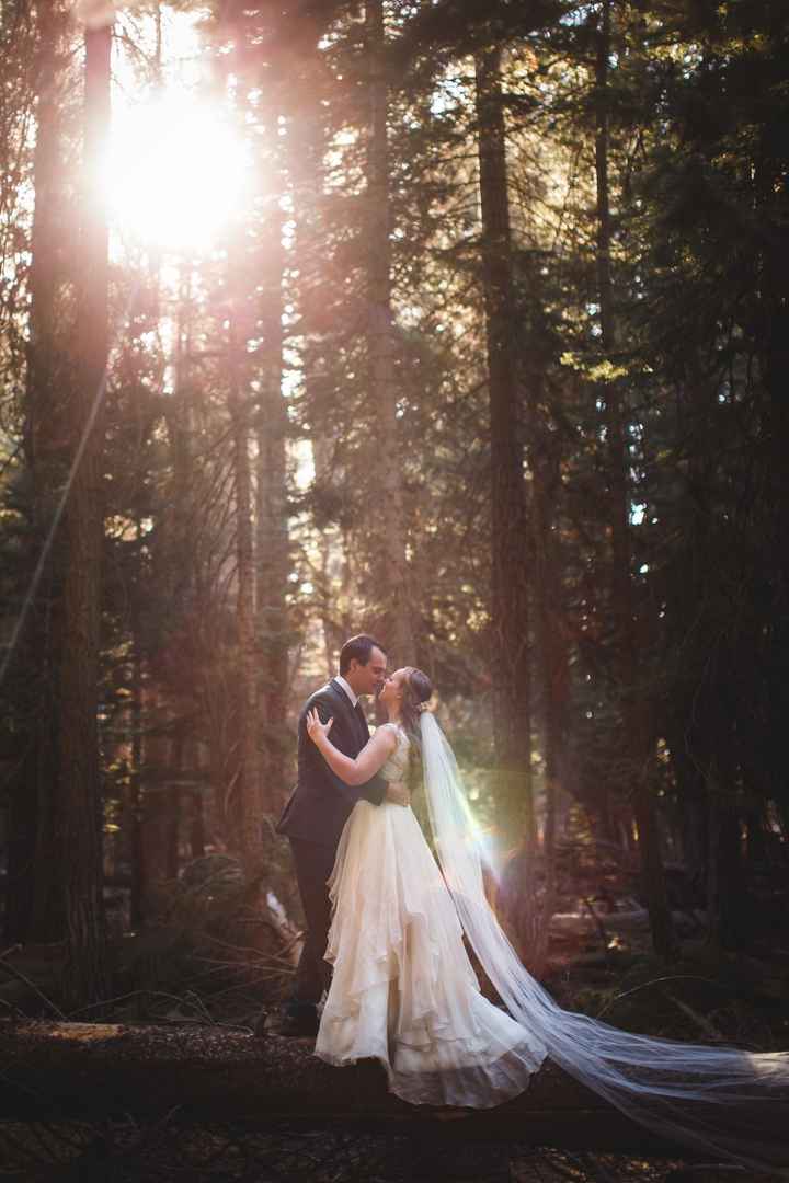 Forest Weddings:  Let's See Your Style Inspiration Pictures! 🌲📷 - 2