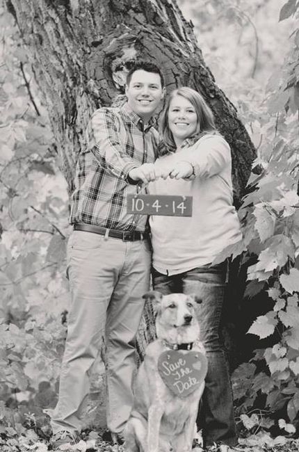 Pets in the STDs