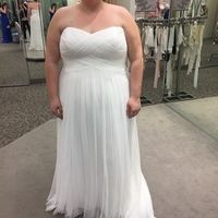Davids Bridal Dresses!