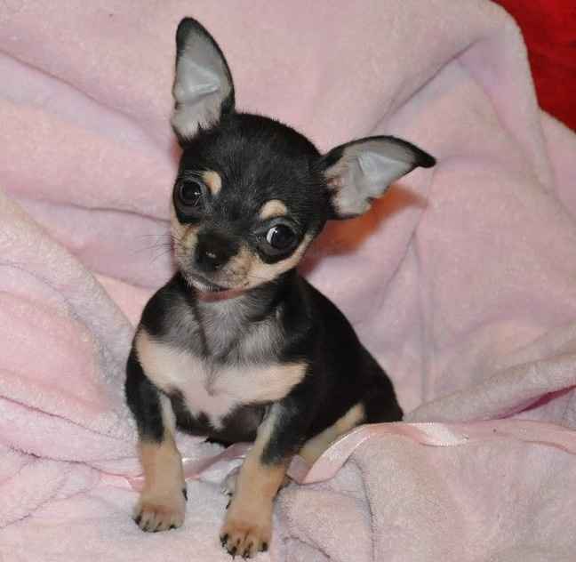 NWR: Worst. Day. Ever. Upate