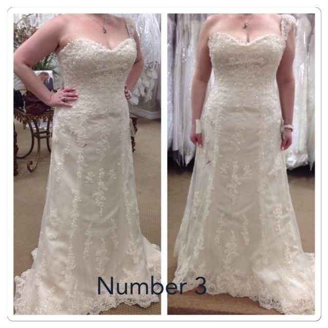 Pictures of 3 dresses, help?