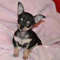 NWR: Worst. Day. Ever. Upate