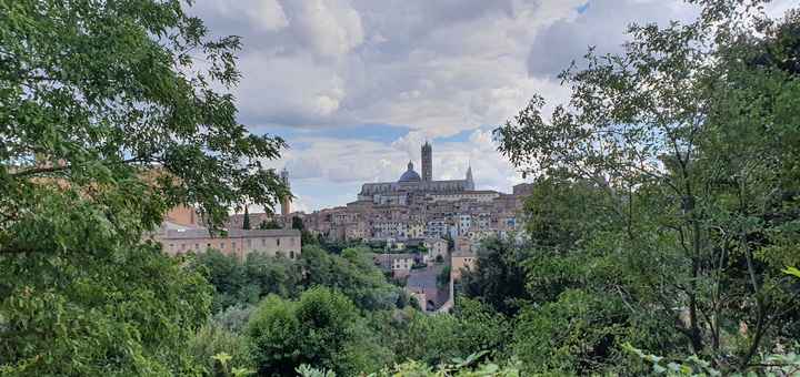 Bam! Long over due wedding pics - Italy "destination" diy Micro-wedding + virtual (27 Aug 2020) - 5