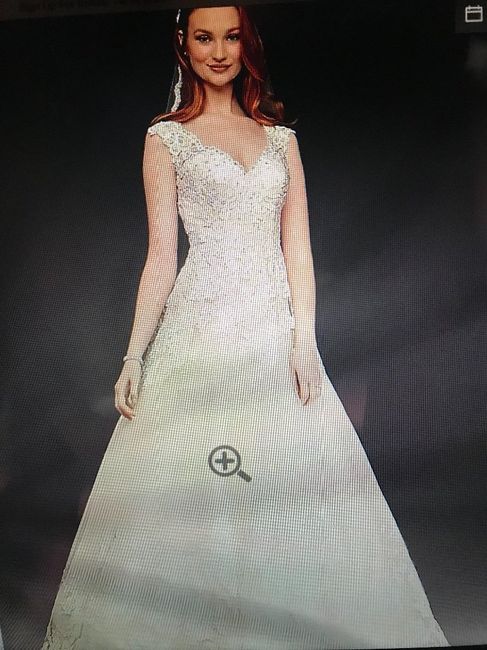 the dress
